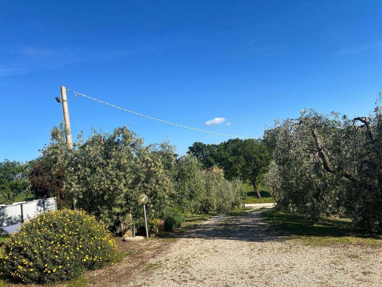 Agriturismo La Castellina Saturnia Exterior foto